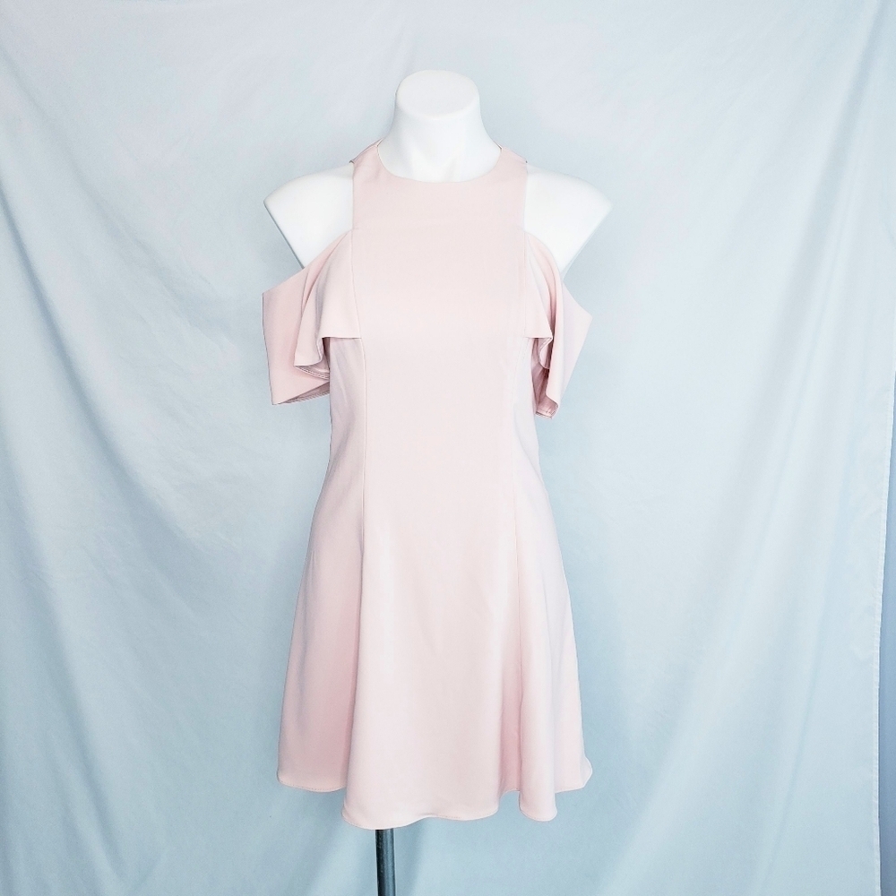 *Last Chance* JayGodfrey Ruffle Sleeve Fit & Flare Dress Pink